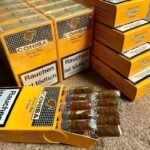 Cohiba Siglo II Tubos Cuban Cigars