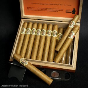 AVO XO Notturno Corona Cigars - Box of 20