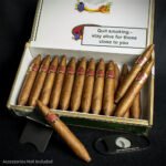 Cuaba Tradicionales Cuban Cigars - Box of 25