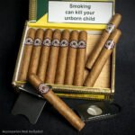 Montecristo Open J Cuban Cigars - Box of 20