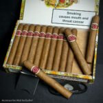 Romeo y Julieta Mille Fleur Cuban Cigars - Box of 25